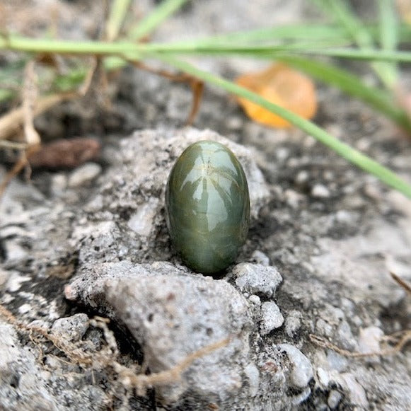 Natural Catseye stone - 6.40 Carat