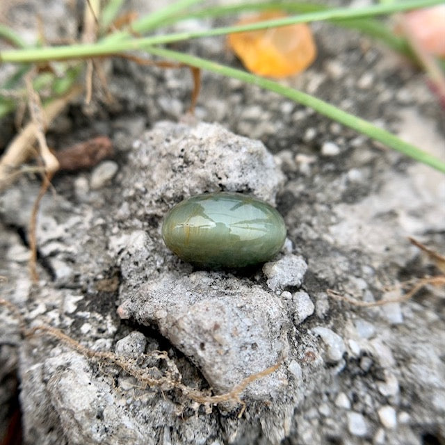 Natural Catseye stone - 6.40 Carat