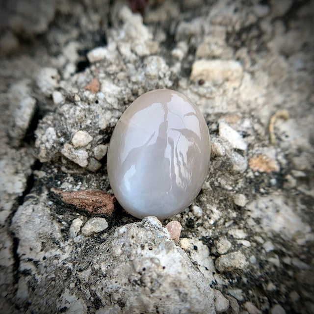 Natural Moonstone - 19.15 Carat