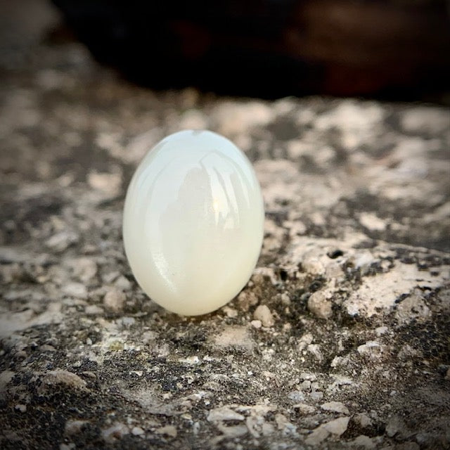 Natural Moonstone - 11.00 Carat