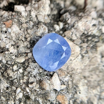 Natürlicher blauer Saphir – 8,85 Karat/9,82 Ratti