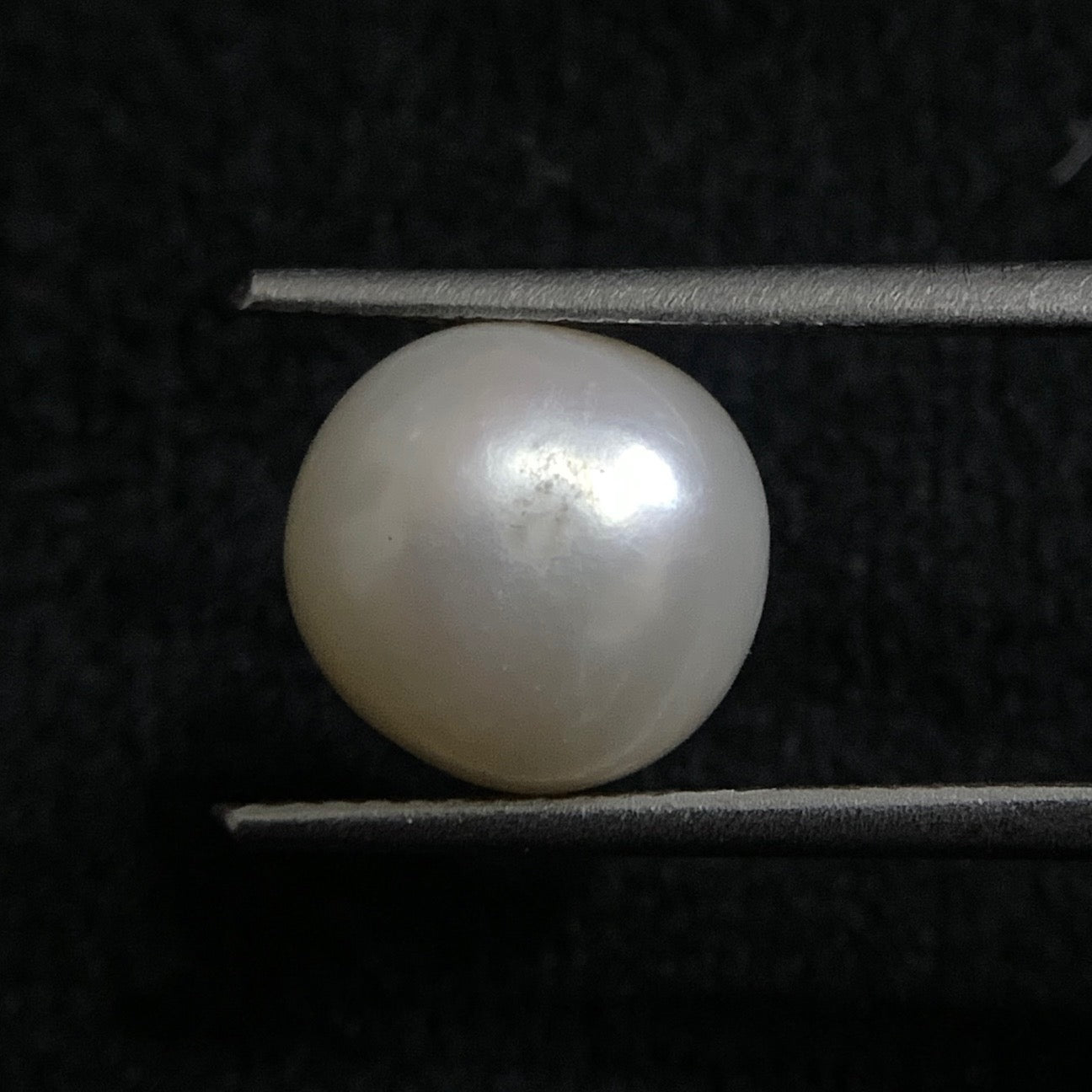 South Sea Pearl - 7.00 Carats/7.77 Ratti