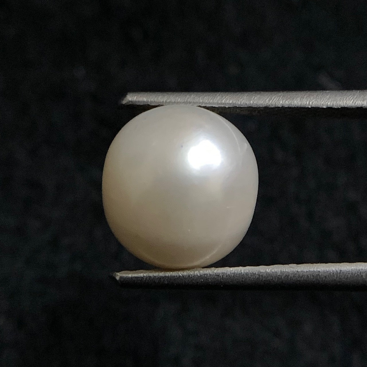 Natural Pearl - 6.52 Carats/7.23 Ratti