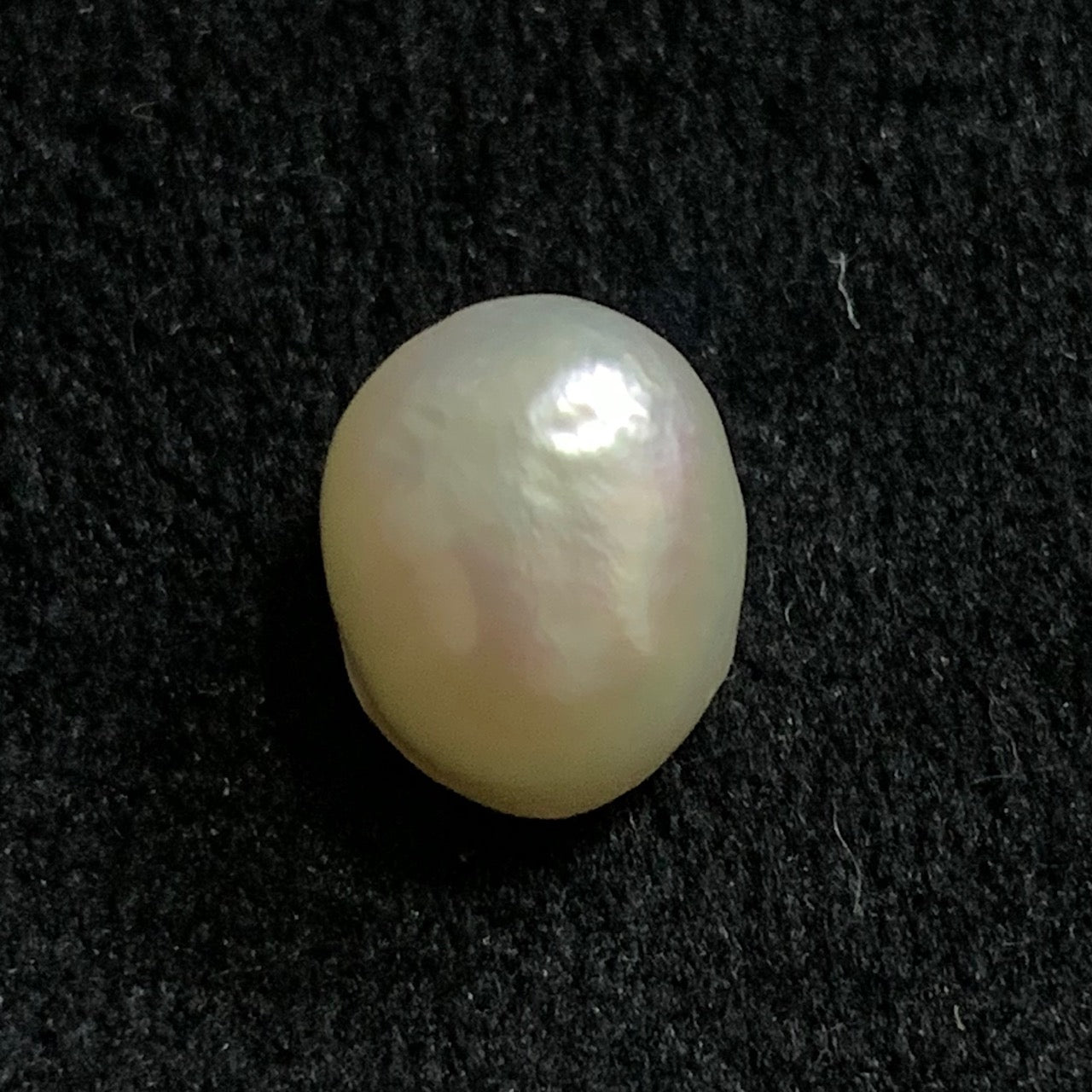 Natural Pearl - 6.53 Carats/7.24 Ratti