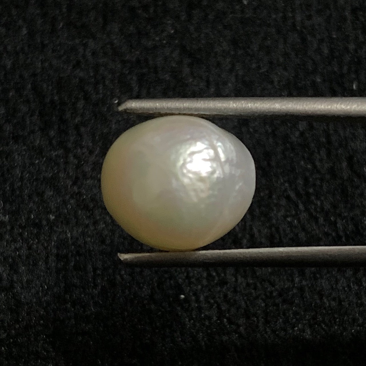 Natural Pearl - 6.53 Carats/7.24 Ratti