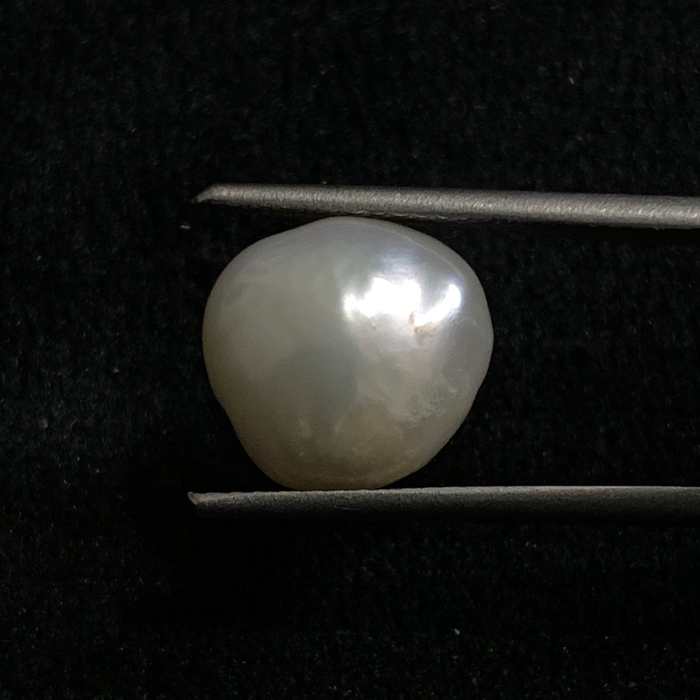 Natural Pearl - 6.83 Carats/7.58 Ratti