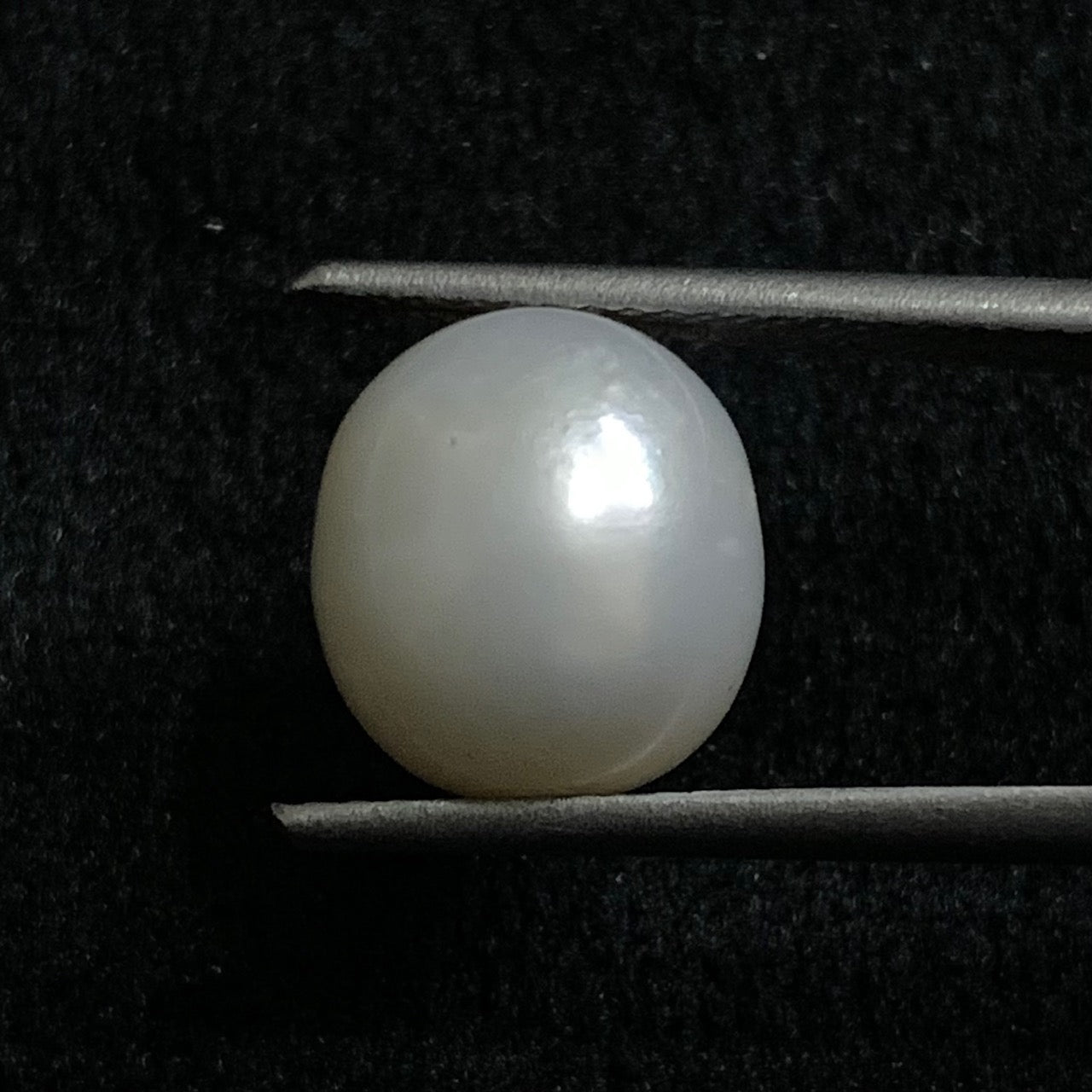 Südseeperle - 7,95 Karat/8,82 Ratti 