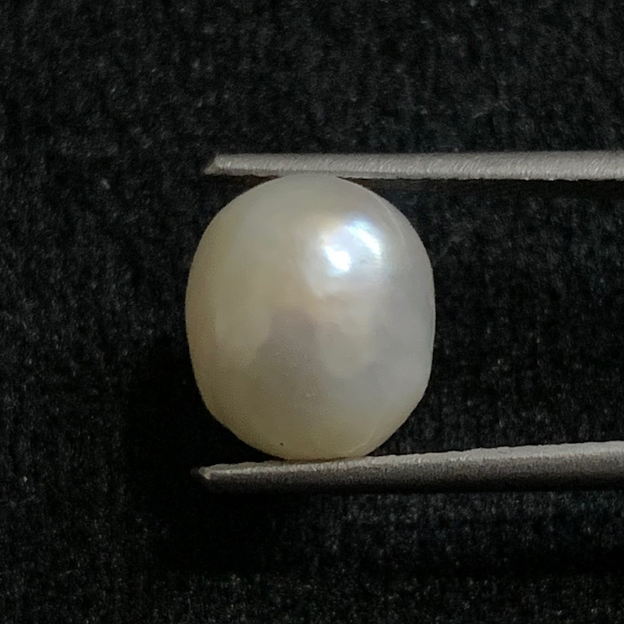 Natural Pearl - 5.74 Carats/6.37 Ratti