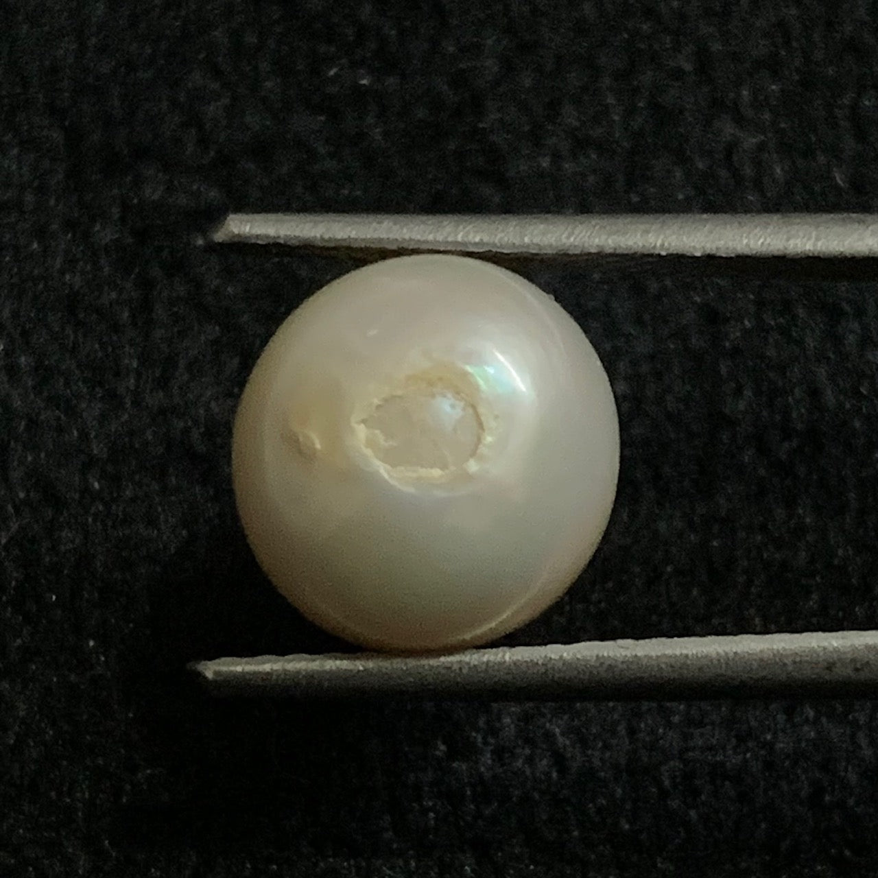 Natural Pearl - 6.87 Carats/7.62 Ratti