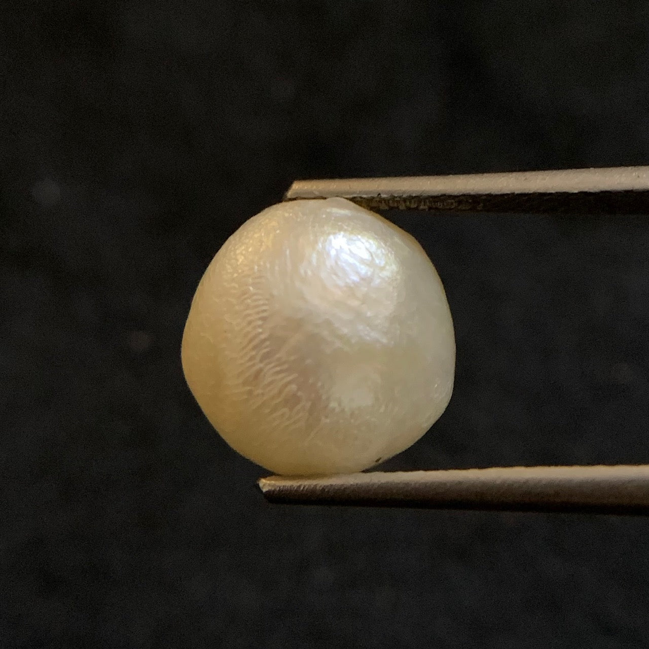 Natural Pearl - 7.37 Carats/8.18 Ratti