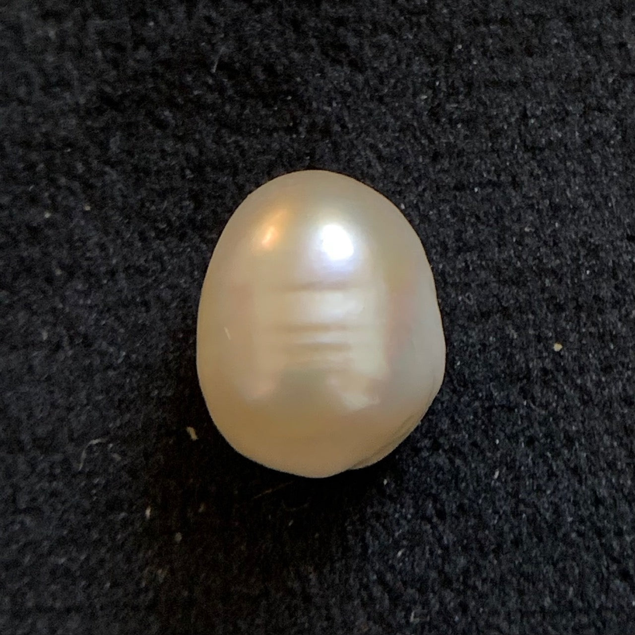 Südseeperle - 7,90 Karat/8,80 Ratti 