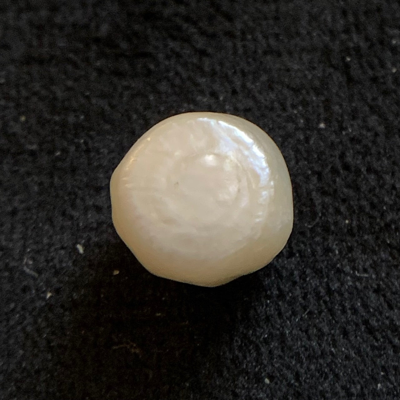 Natural Pearl - 8.24Carats/9.14 Ratti