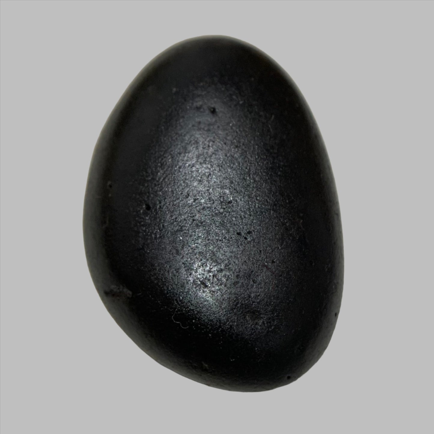 Natural Shaligram Stone