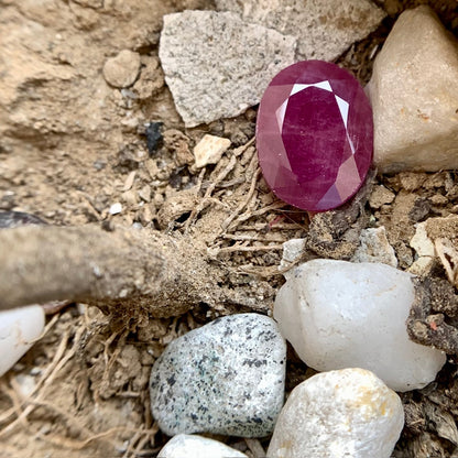 Natural Ruby - 5.10 Carats/5.66 Ratti