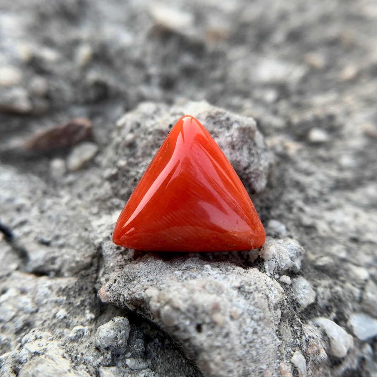 Natural Red Coral - 9.05 Carat/10.04 Ratti