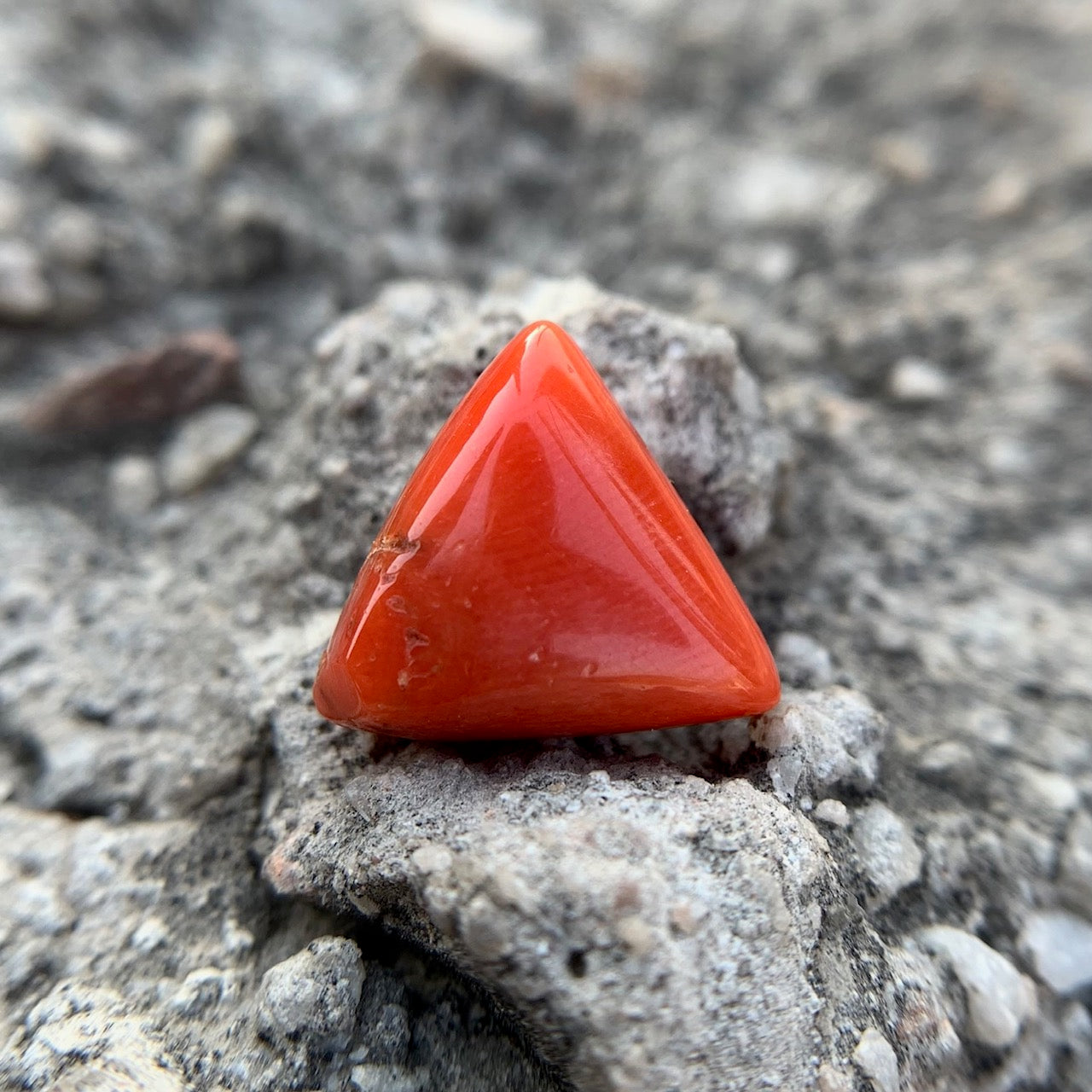 Natural Red Coral - 9.05 Carat/10.04 Ratti