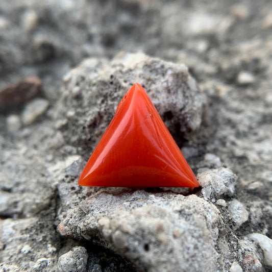 Natural Red Coral - 4.55 Carat/5.05 Ratti