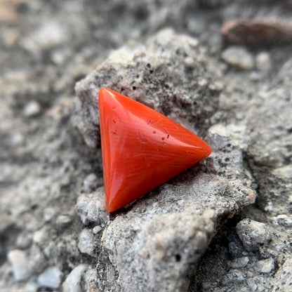 Natural Red Coral - 5.65 Carat/6.27 Ratti