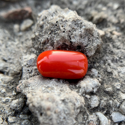 Natural Red Coral - 3.90 Carat/4.33 Ratti