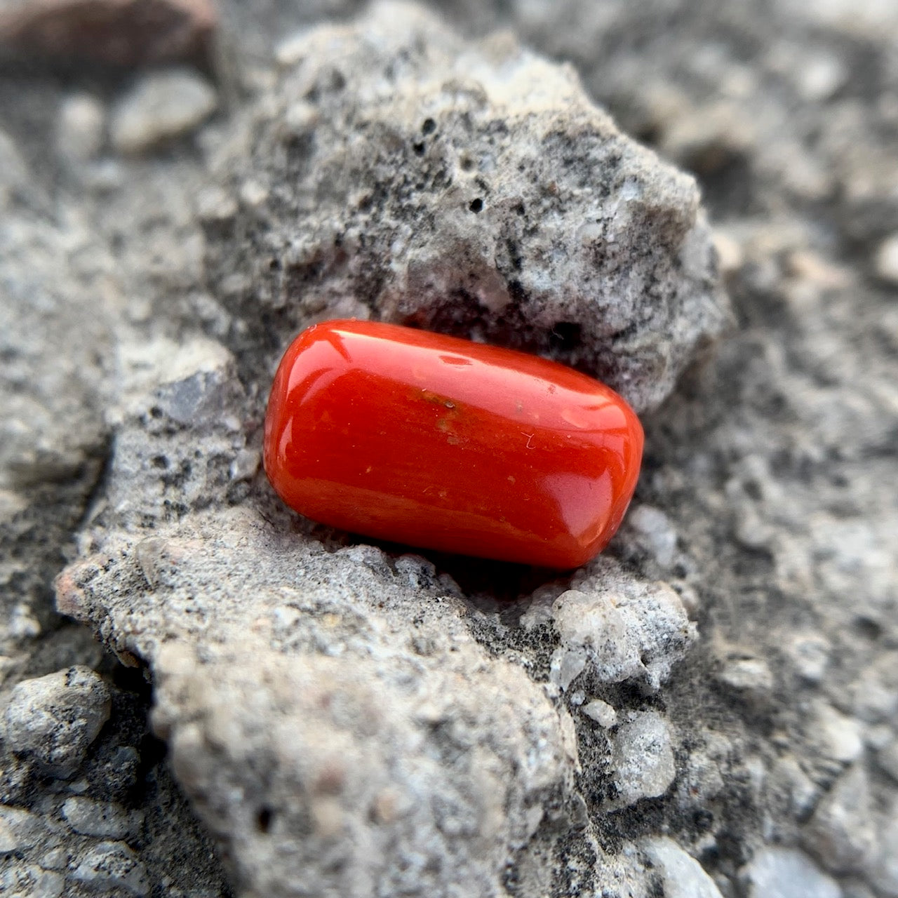 Natural Red Coral - 3.90 Carat/4.33 Ratti