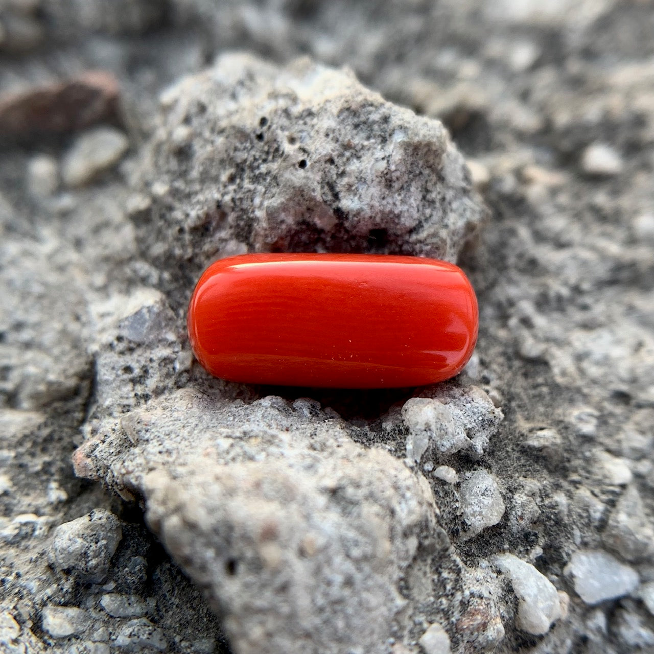 Natural Red Coral - 4.45 Carat/4.94 Ratti