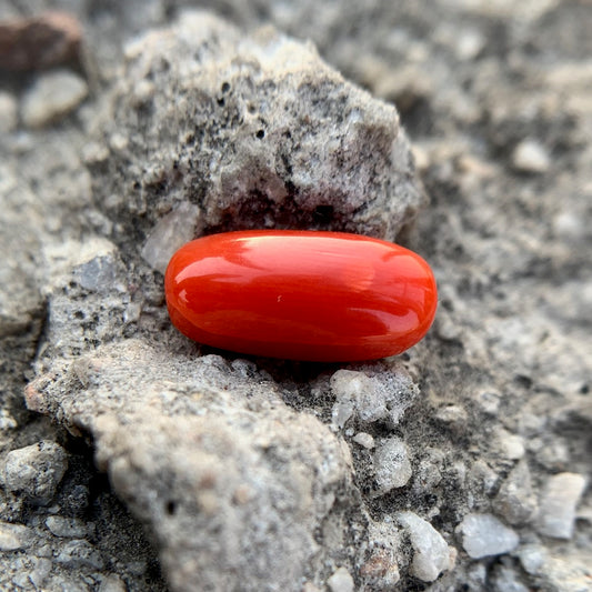 Natural Red Coral - 4.10 Carat/4.55 Ratti