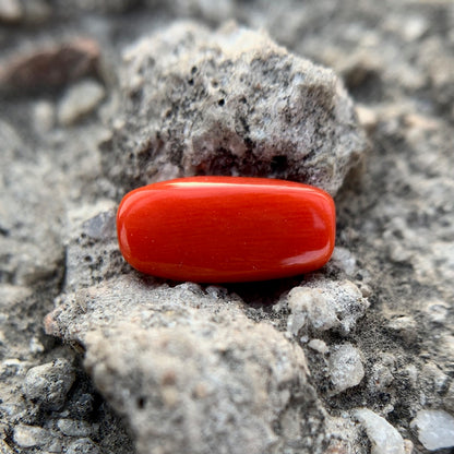Natural Red Coral - 4.10 Carat/4.55 Ratti