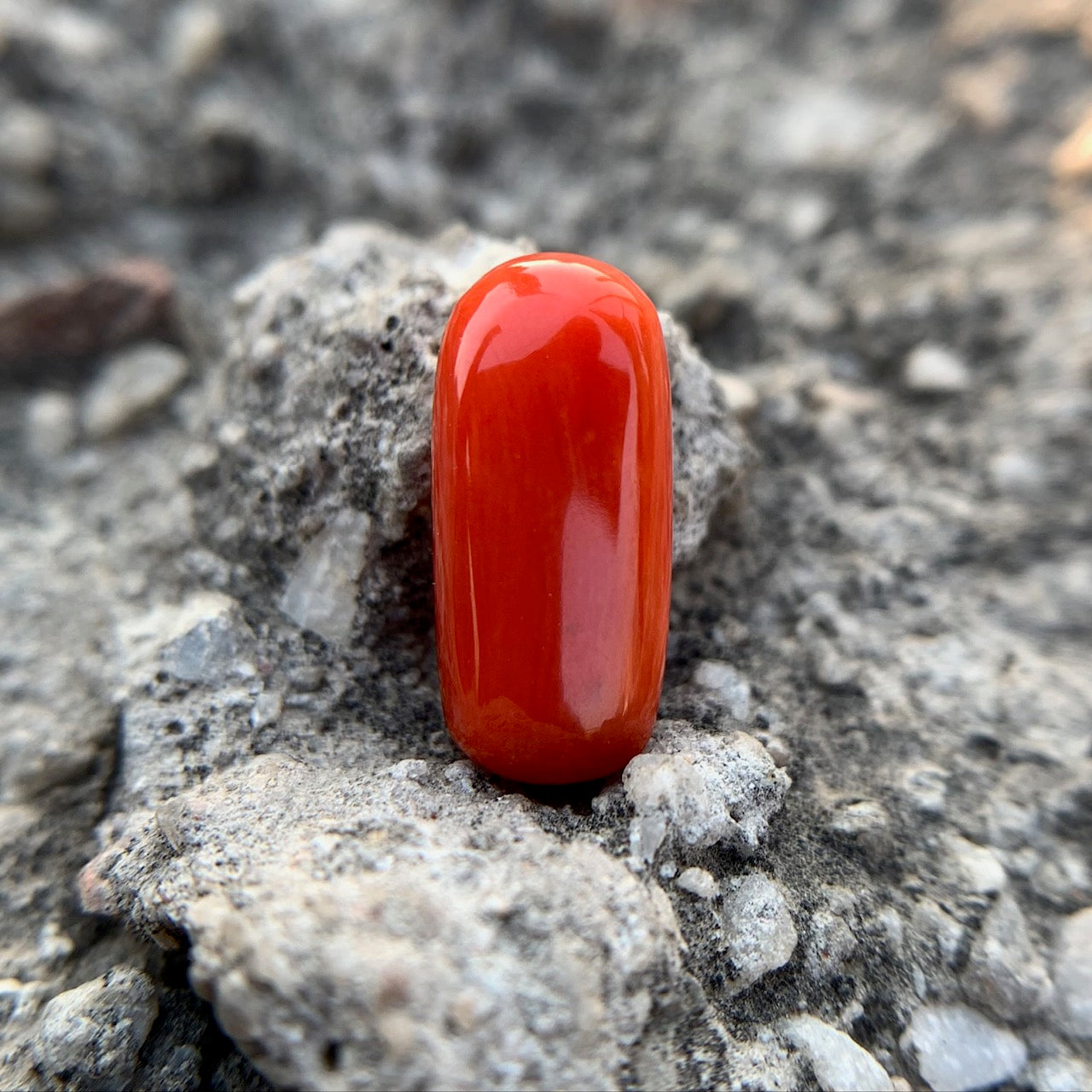 Natural Red Coral - 4.65 Carat/5.16 Ratti