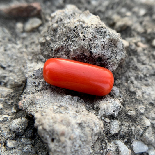 Natural Red Coral - 4.05 Carat/4.50 Ratti