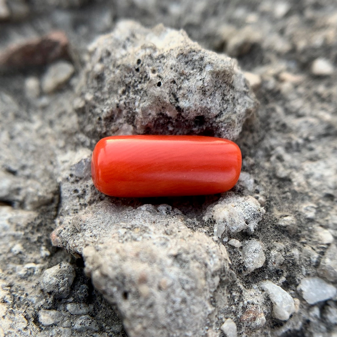 Natural Red Coral - 4.05 Carat/4.50 Ratti