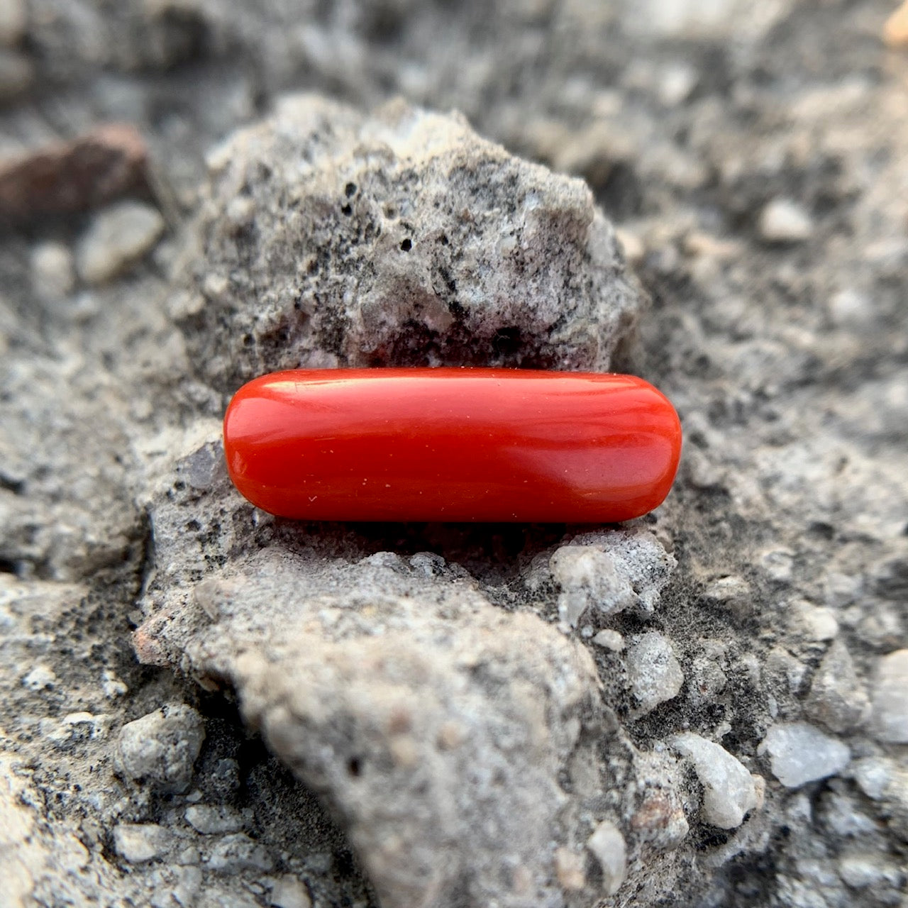 Natural Red Coral - 4.30 Carat/4.77 Ratti