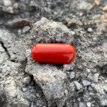Natural Red Coral - 7.40 Carat/8.21 Ratti