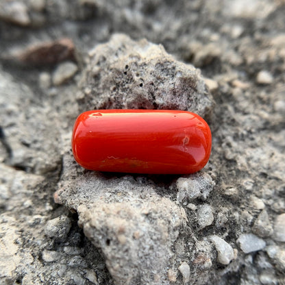 Natural Red Coral - 7.40 Carat/8.21 Ratti