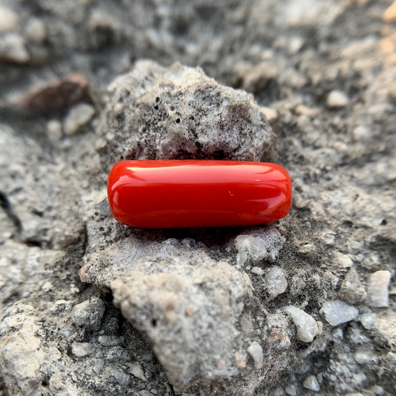 Natural Red Coral - 6.40 Carat/7.10 Ratti