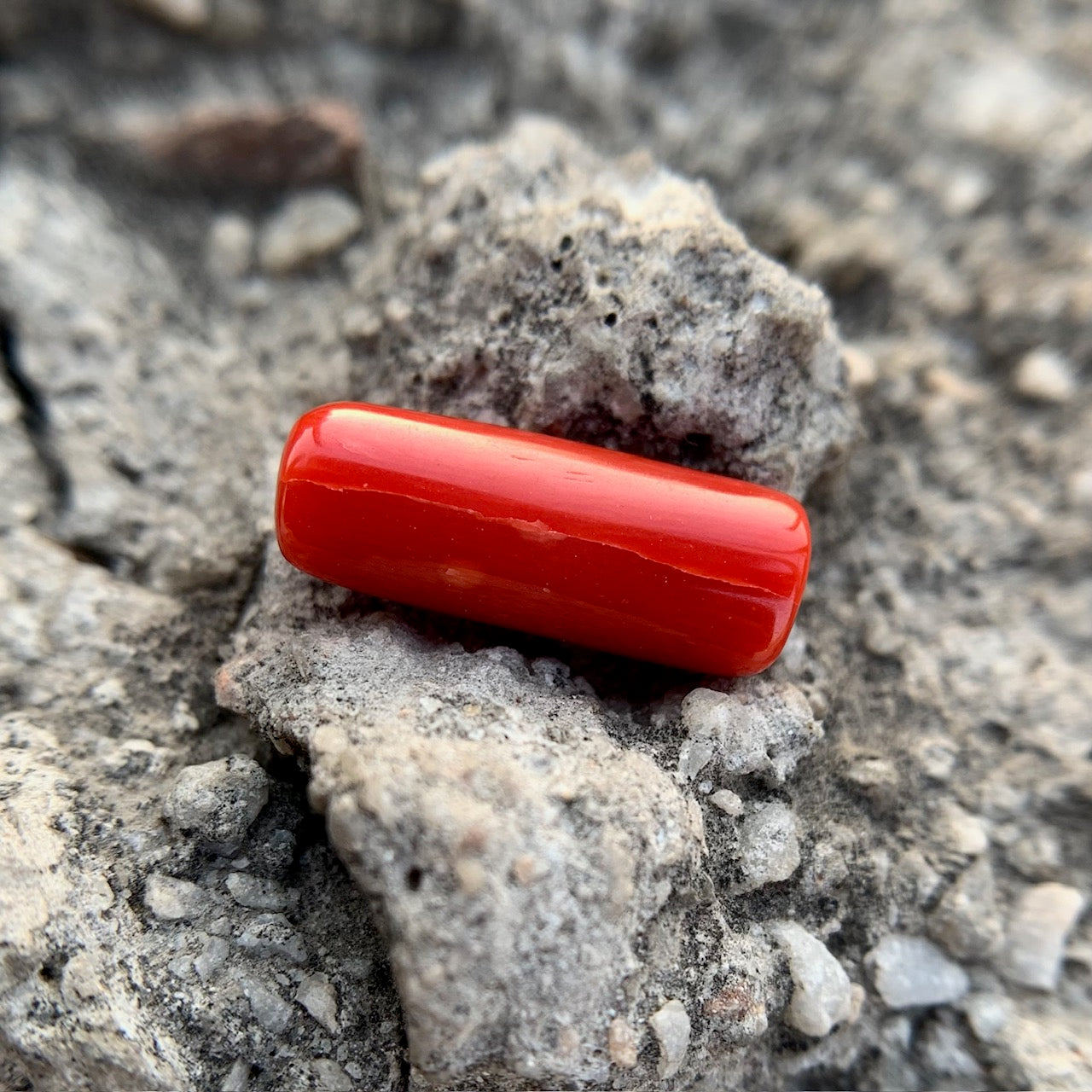 Natural Red Coral - 6.40 Carat/7.10 Ratti