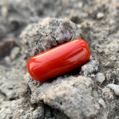 Natural Red Coral - 6.15 Carat/6.83 Ratti