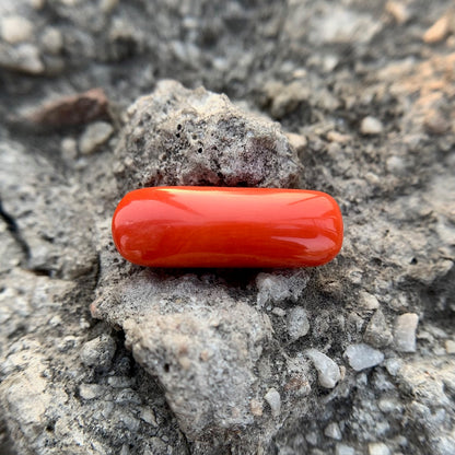 Natural Red Coral - 9.45 Carat/10.49 Ratti