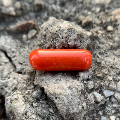 Natural Red Coral - 9.45 Carat/10.49 Ratti