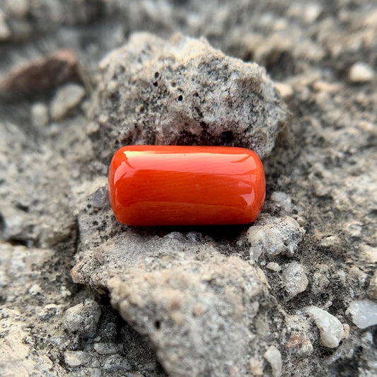 Natural Red Coral - 5.15 Carat/5.72 Ratti