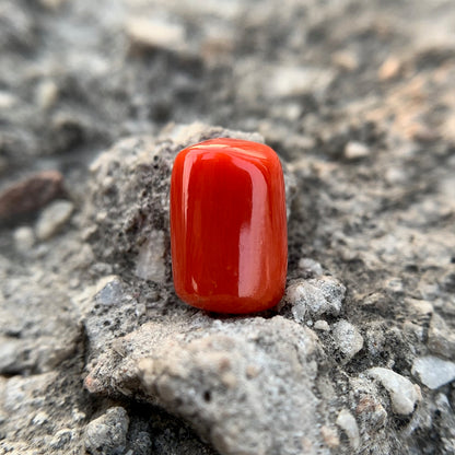 Natural Red Coral - 7.70 Carat/8.55 Ratti