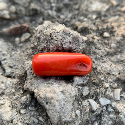 Natural Red Coral - 8.70 Carat/9.66 Ratti
