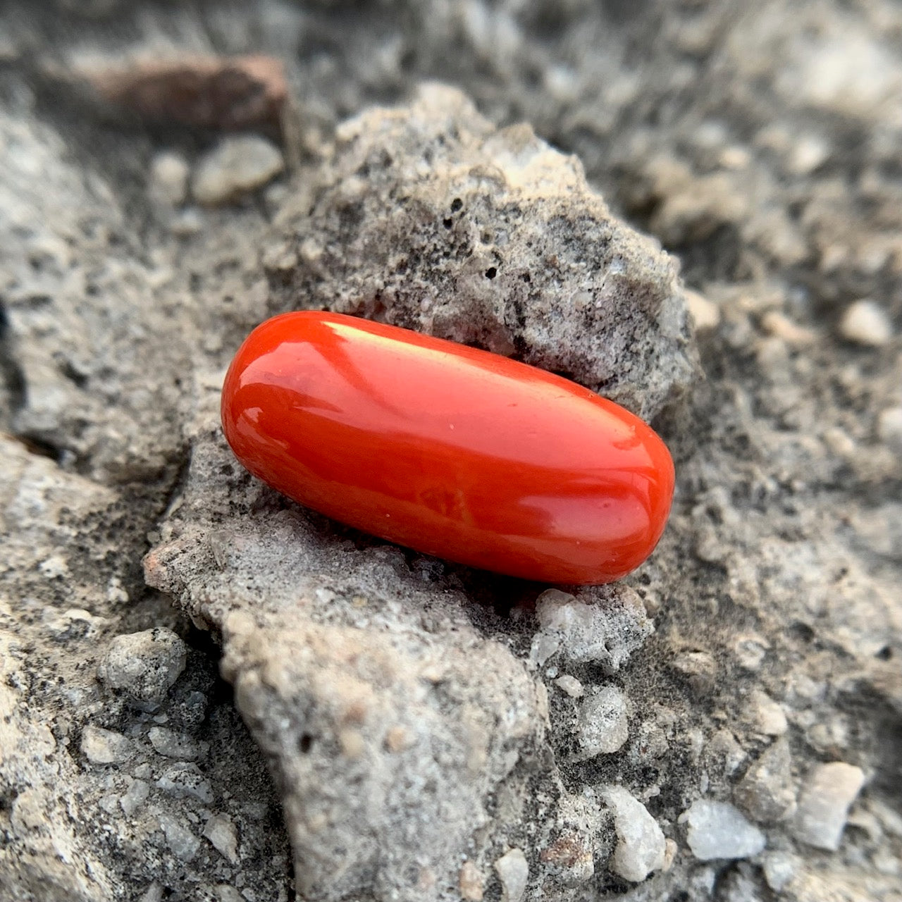 Natural Red Coral - 8.45 Carat/9.38 Ratti