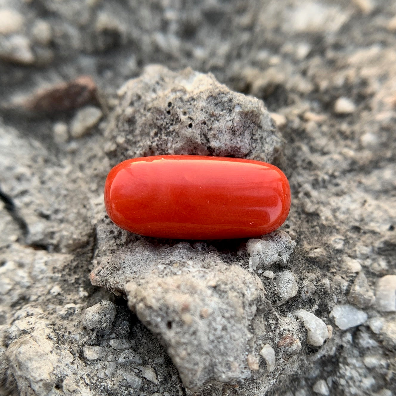 Natural Red Coral - 8.45 Carat/9.38 Ratti