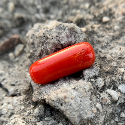Natural Red Coral - 8.80 Carat/9.76 Ratti