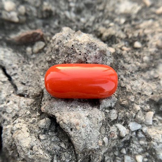 Natural Red Coral - 12.00 Carat/13.32 Ratti