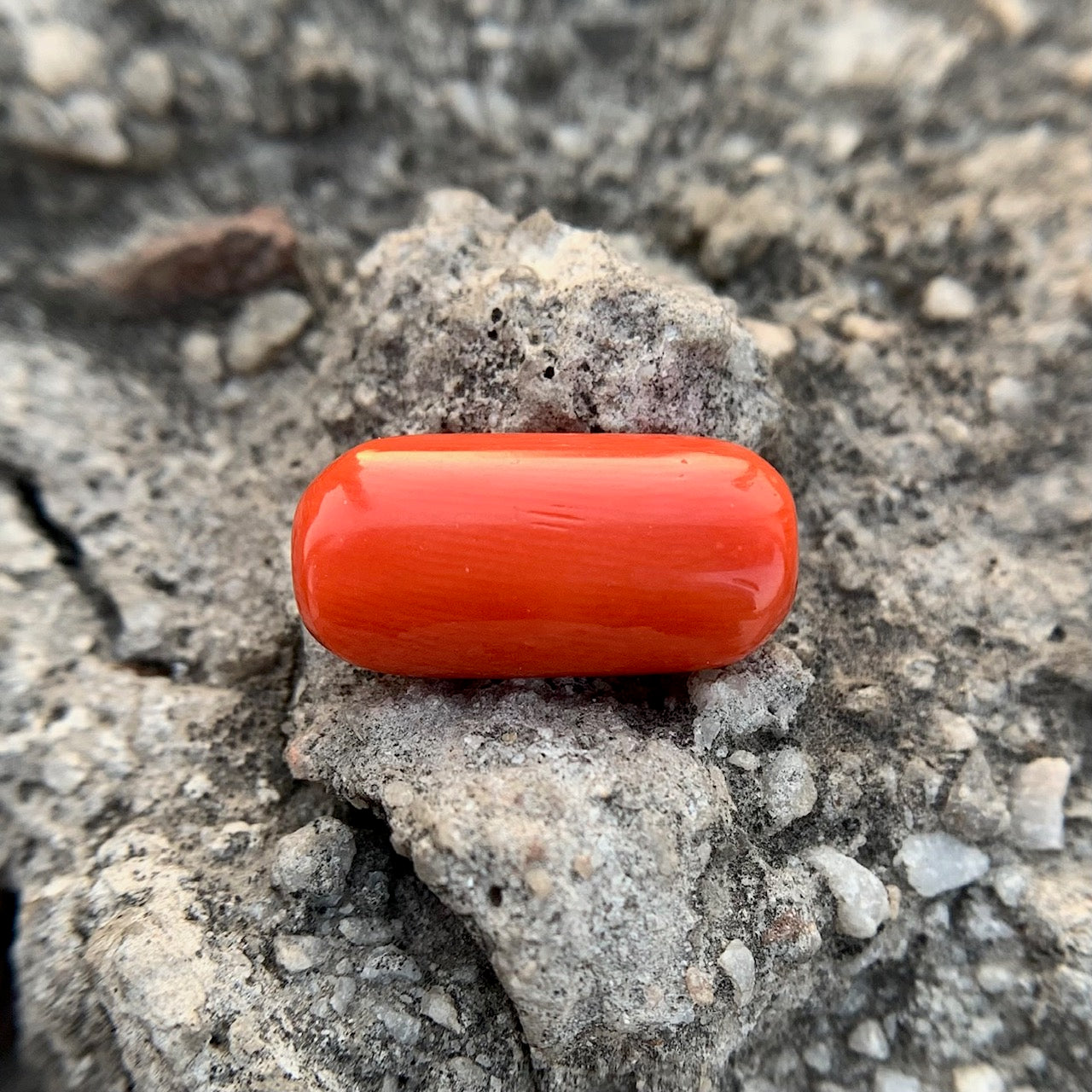 Natural Red Coral - 12.00 Carat/13.32 Ratti