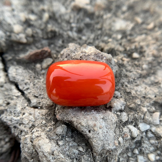 Natural Red Coral - 21.10 Carat/23.42 Ratti