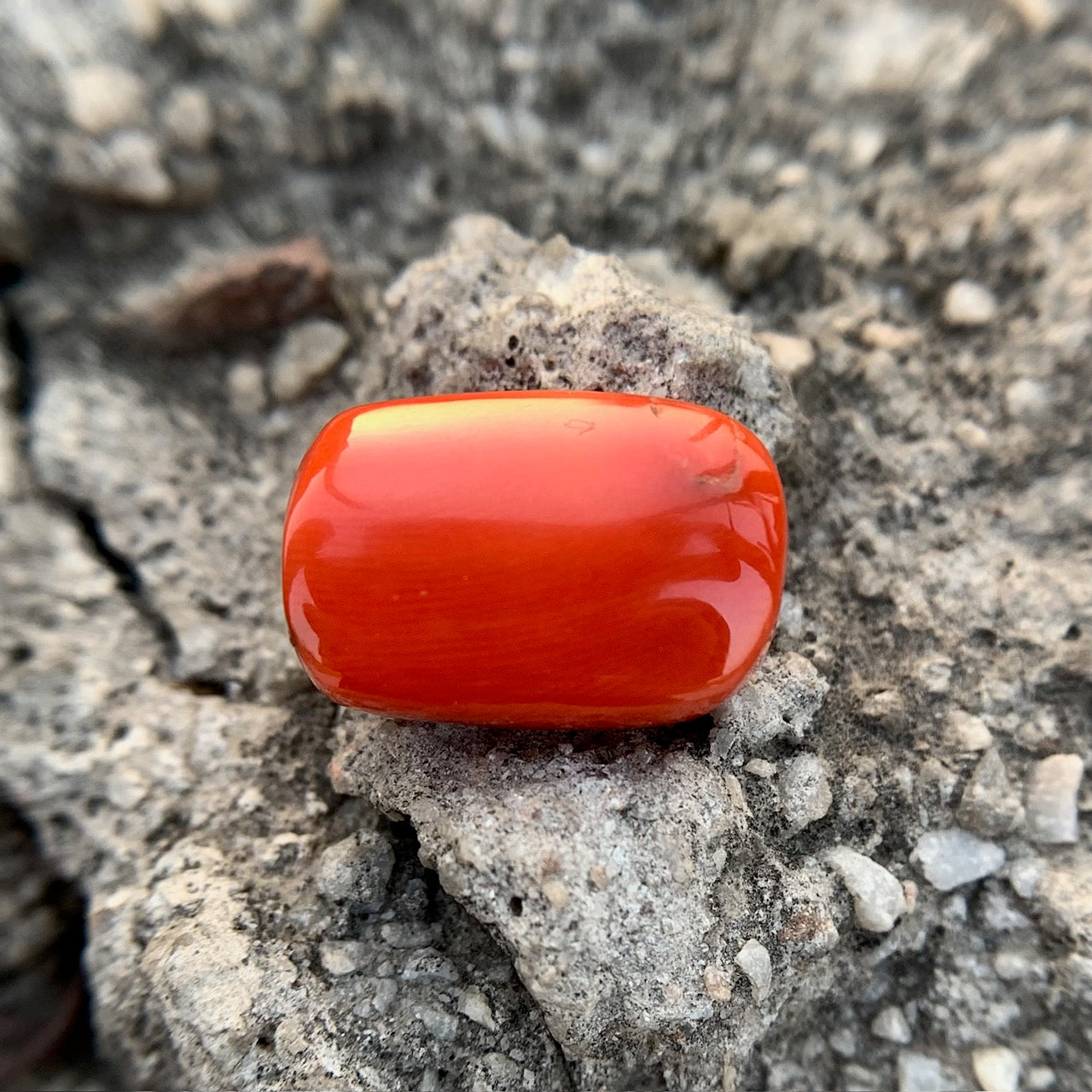 Natural Red Coral - 21.10 Carat/23.42 Ratti