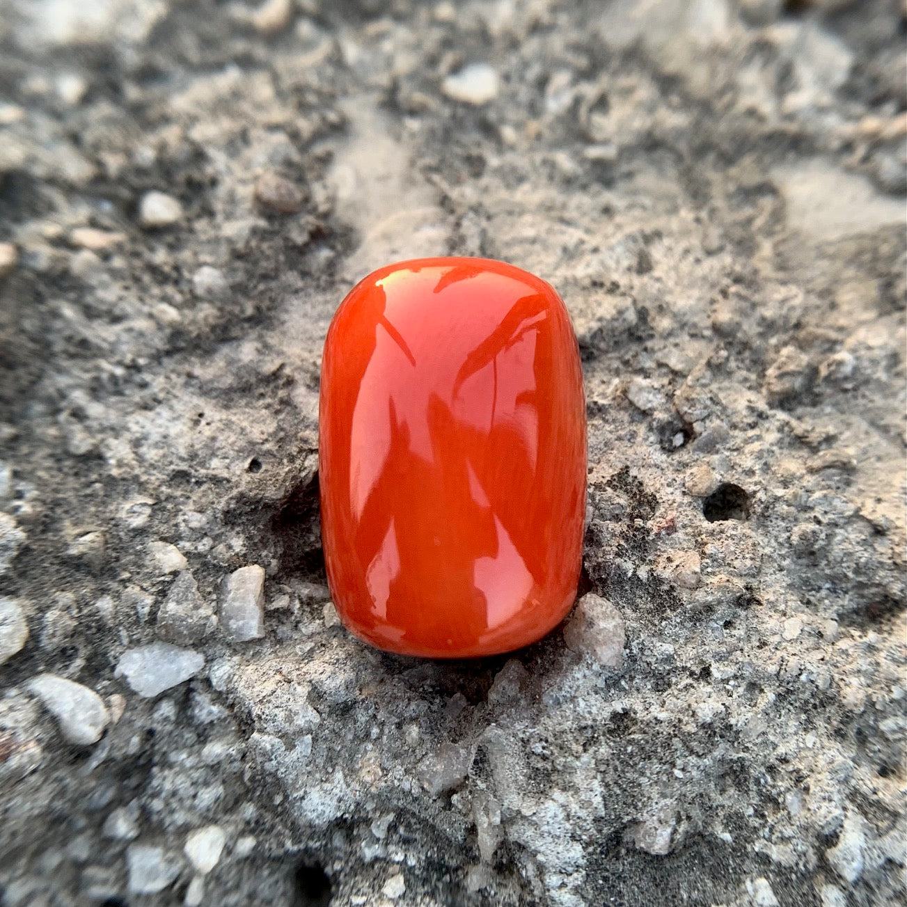 Natural Red Coral - 21.10 Carat/23.42 Ratti