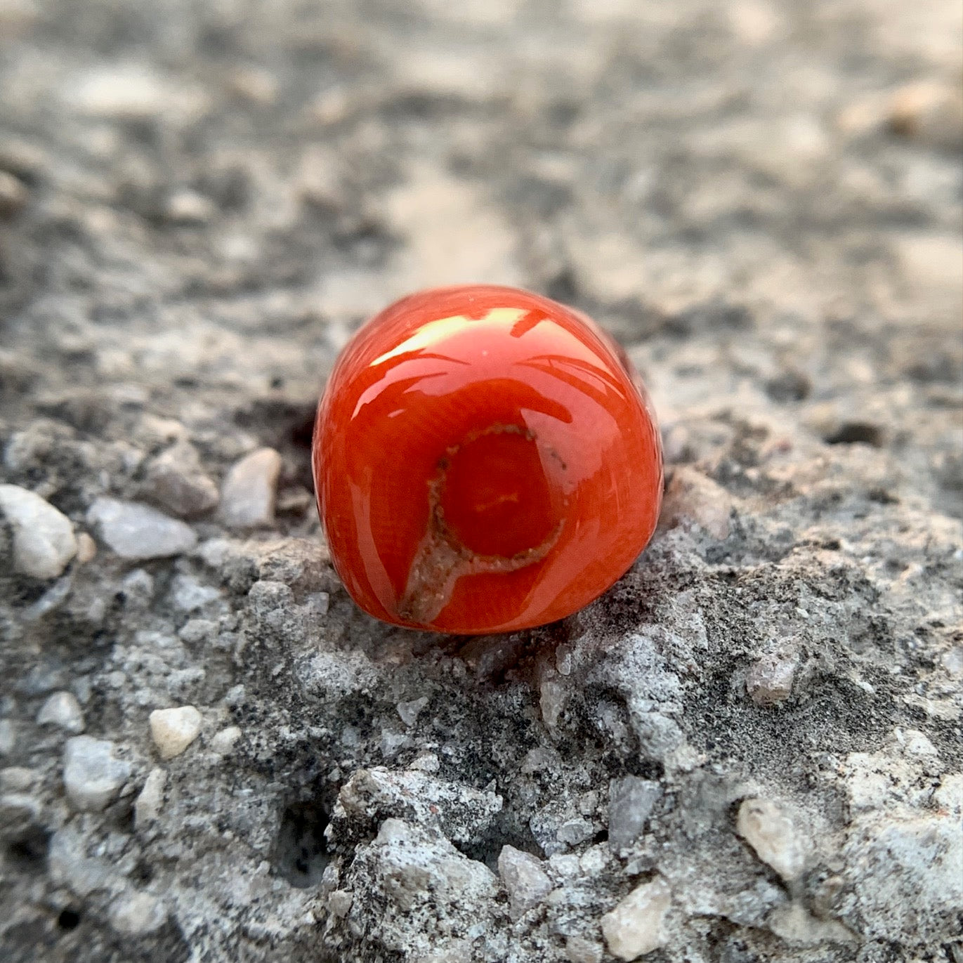 Natural Red Coral - 21.10 Carat/23.42 Ratti